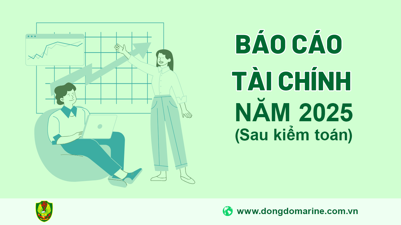 Báo cáo tài chính năm 2025 (sau kiểm toán)